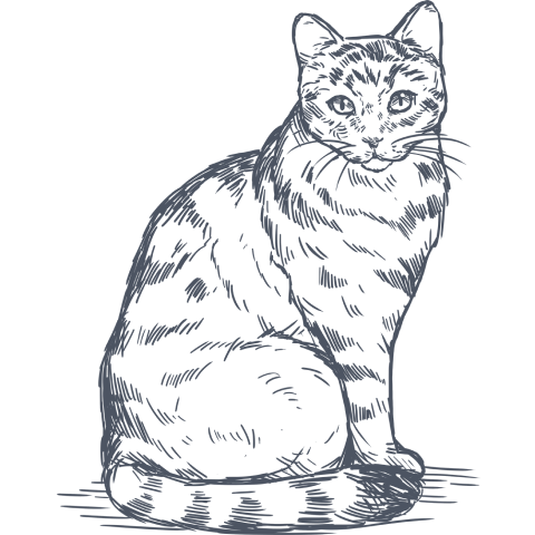 Ilustração de um gato
