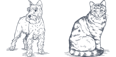 Ilustração de um cachorro e um gato
